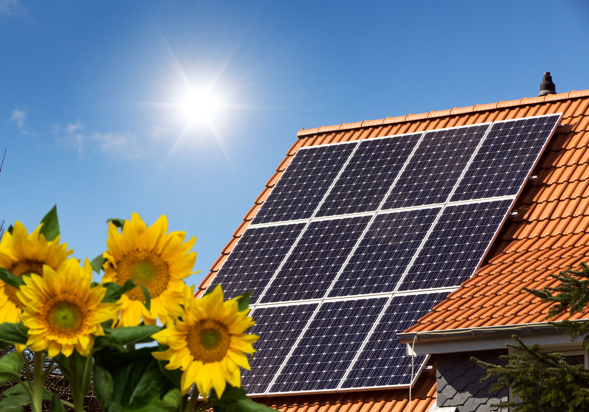 Produzieren Sie nachhaltig Energie mit einer eigenen Photovoltaikanlage.